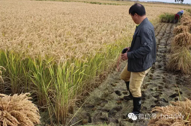 哈爾濱工大集團沈陽津瑞肥業(yè)有限公司