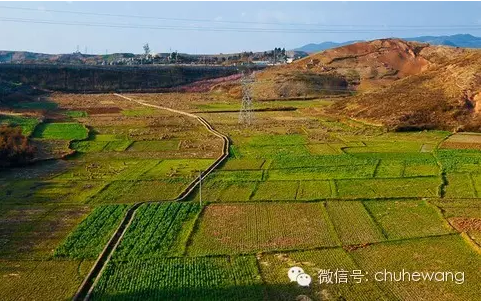 【自然有道理】農(nóng)業(yè)部喊話：土壤亞健康，要配方施肥和增施有機質(zhì)